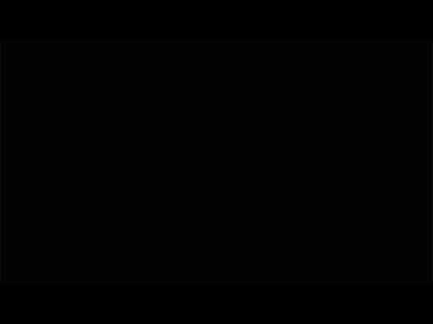 wp-header-logo-117.png
